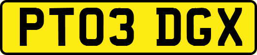 PT03DGX