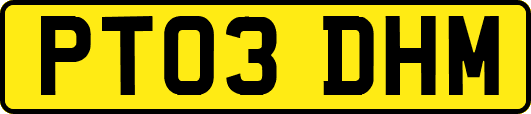 PT03DHM