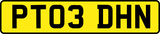 PT03DHN
