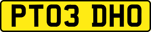 PT03DHO