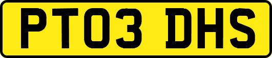 PT03DHS