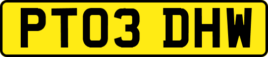 PT03DHW