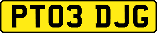 PT03DJG