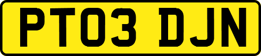 PT03DJN