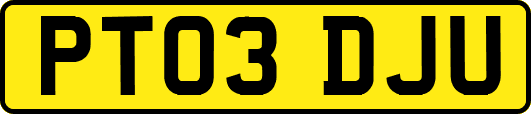 PT03DJU