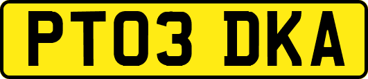 PT03DKA