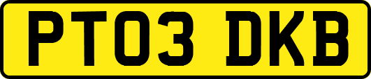 PT03DKB