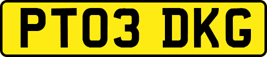 PT03DKG