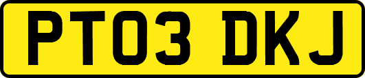 PT03DKJ