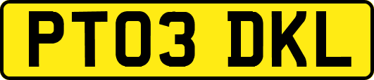 PT03DKL