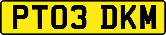PT03DKM