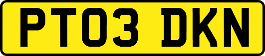 PT03DKN