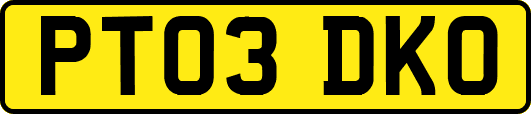 PT03DKO