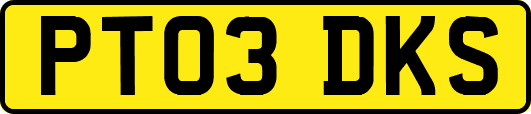 PT03DKS