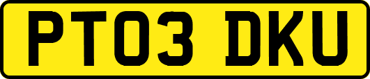 PT03DKU