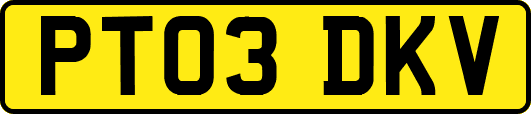 PT03DKV