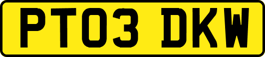 PT03DKW