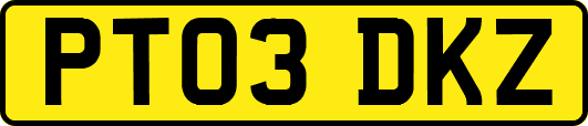 PT03DKZ