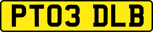 PT03DLB