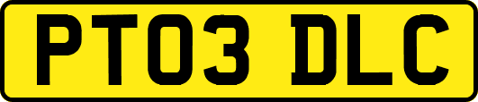 PT03DLC