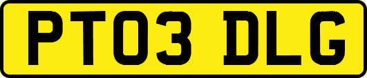 PT03DLG