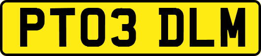 PT03DLM