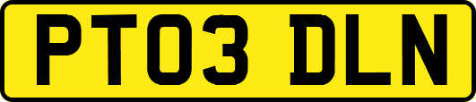 PT03DLN