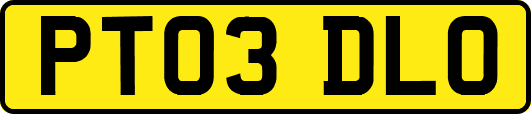 PT03DLO