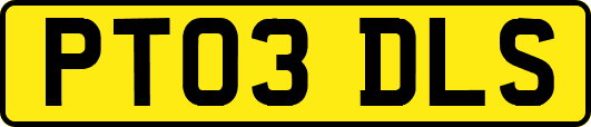 PT03DLS