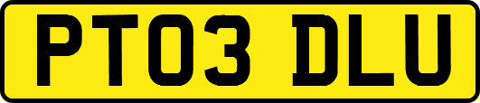 PT03DLU