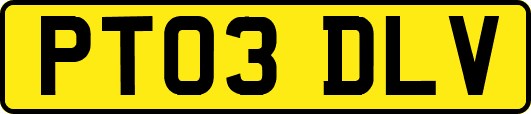 PT03DLV