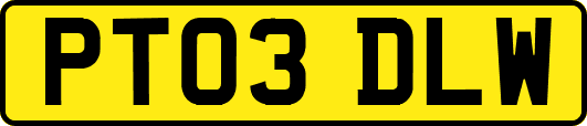 PT03DLW