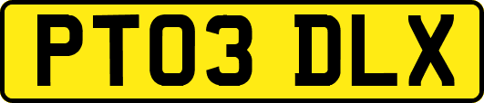 PT03DLX