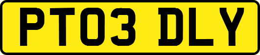 PT03DLY