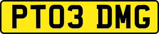 PT03DMG