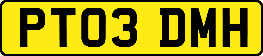 PT03DMH