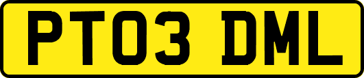 PT03DML