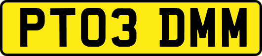 PT03DMM