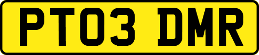 PT03DMR