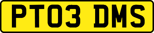 PT03DMS