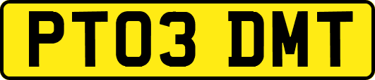PT03DMT