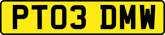 PT03DMW
