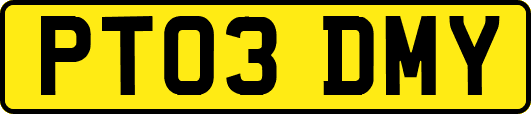 PT03DMY