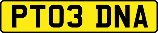 PT03DNA