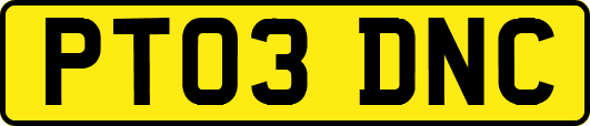 PT03DNC
