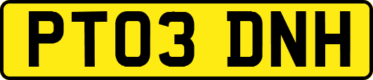 PT03DNH