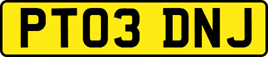 PT03DNJ