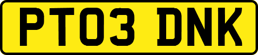 PT03DNK