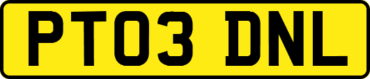 PT03DNL