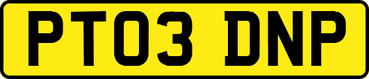 PT03DNP